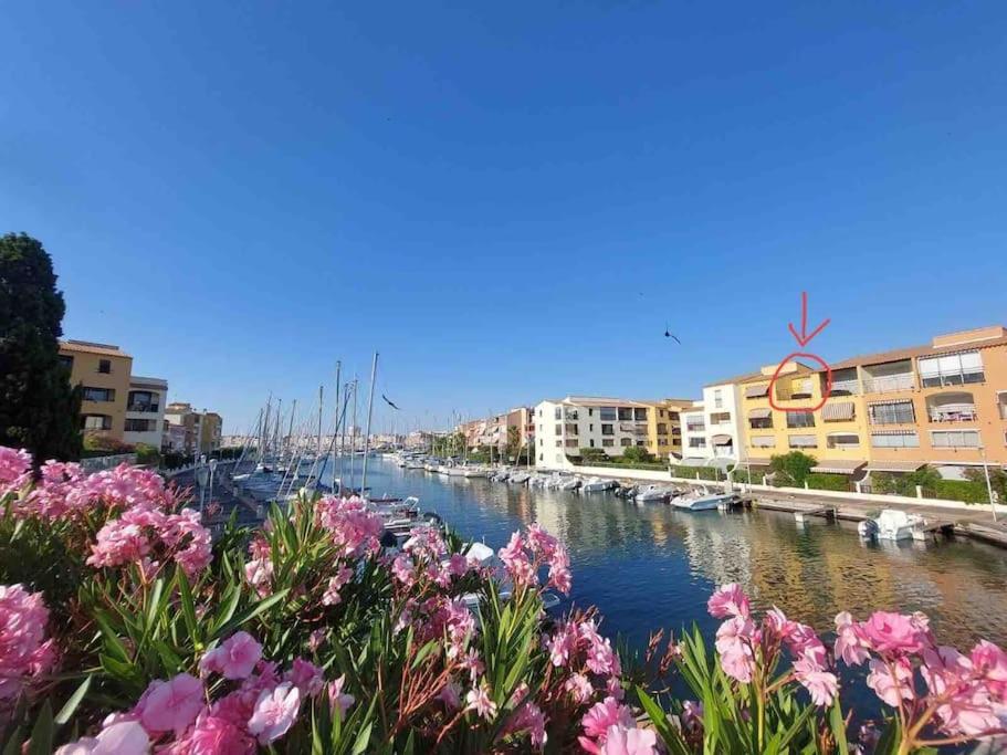 Cap'Nomad Studio Cote Port - Terrasse - Piscine - Parking Agde Buitenkant foto