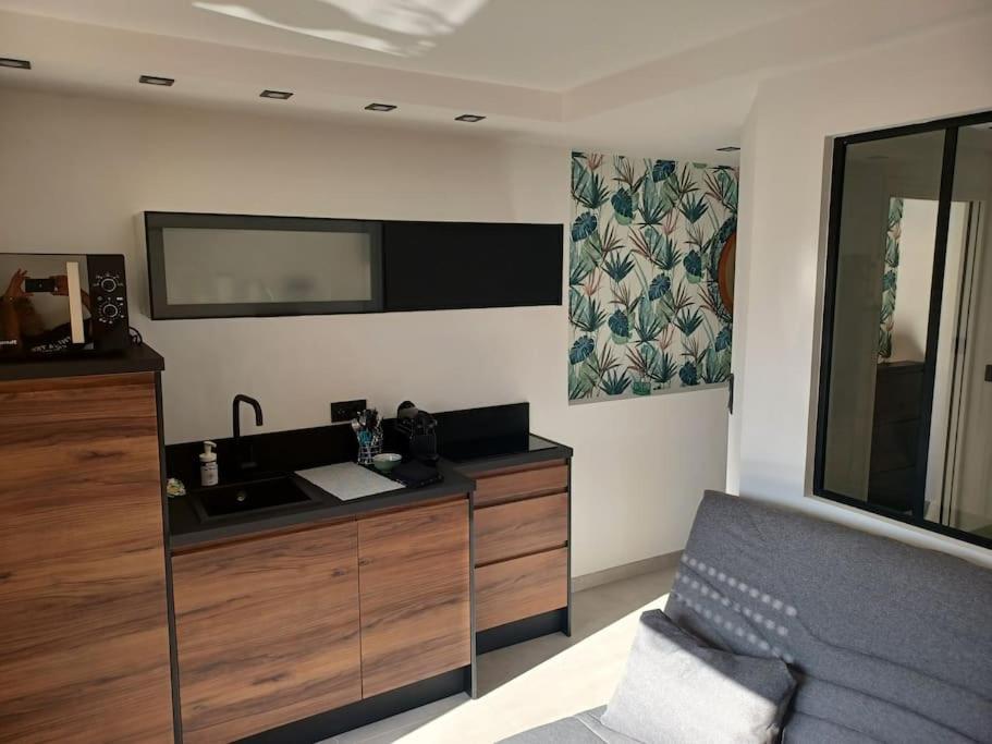 Cap'Nomad Studio Cote Port - Terrasse - Piscine - Parking Agde Buitenkant foto
